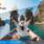 Paket-Wisata-Tour-&-Travel-Lombok
